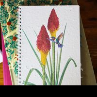 Growing Paper Red Hot Poker Notebook